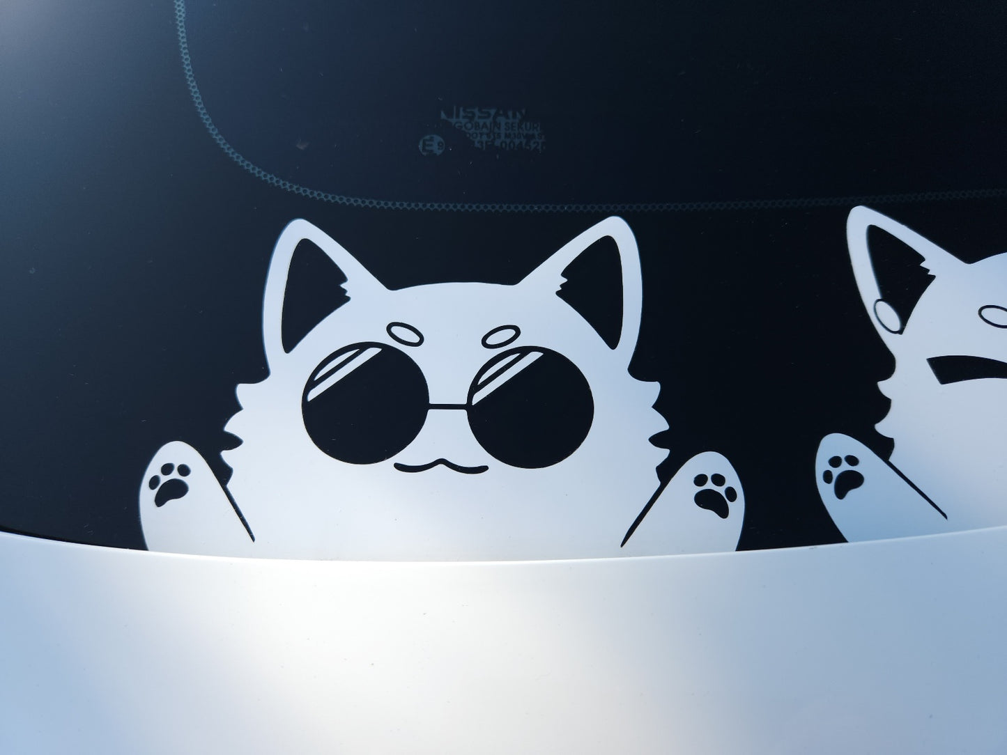 Gojo Catoru Decal