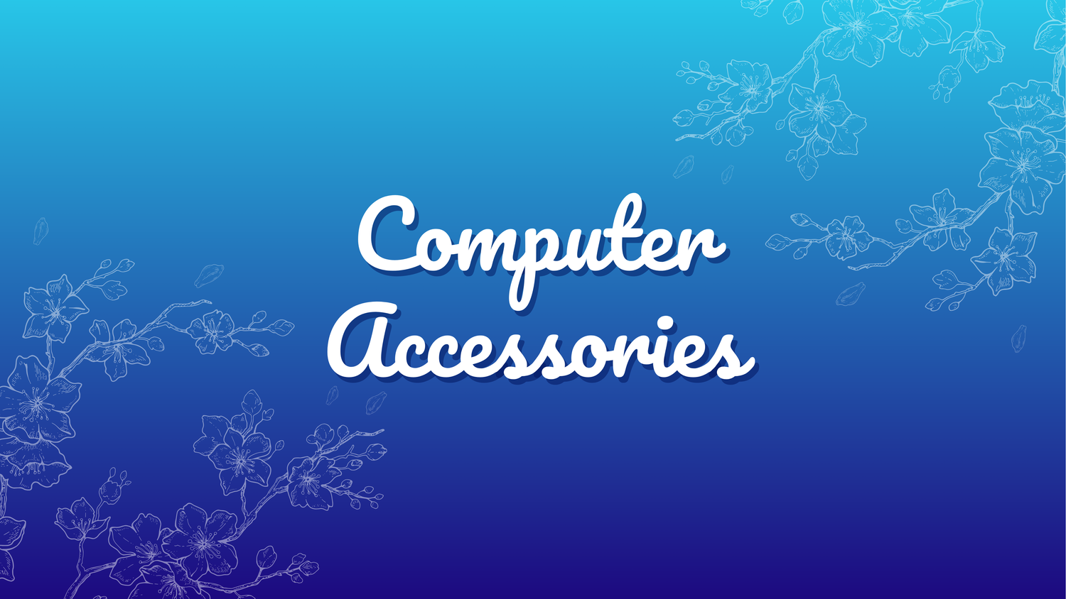 Computer Accessories