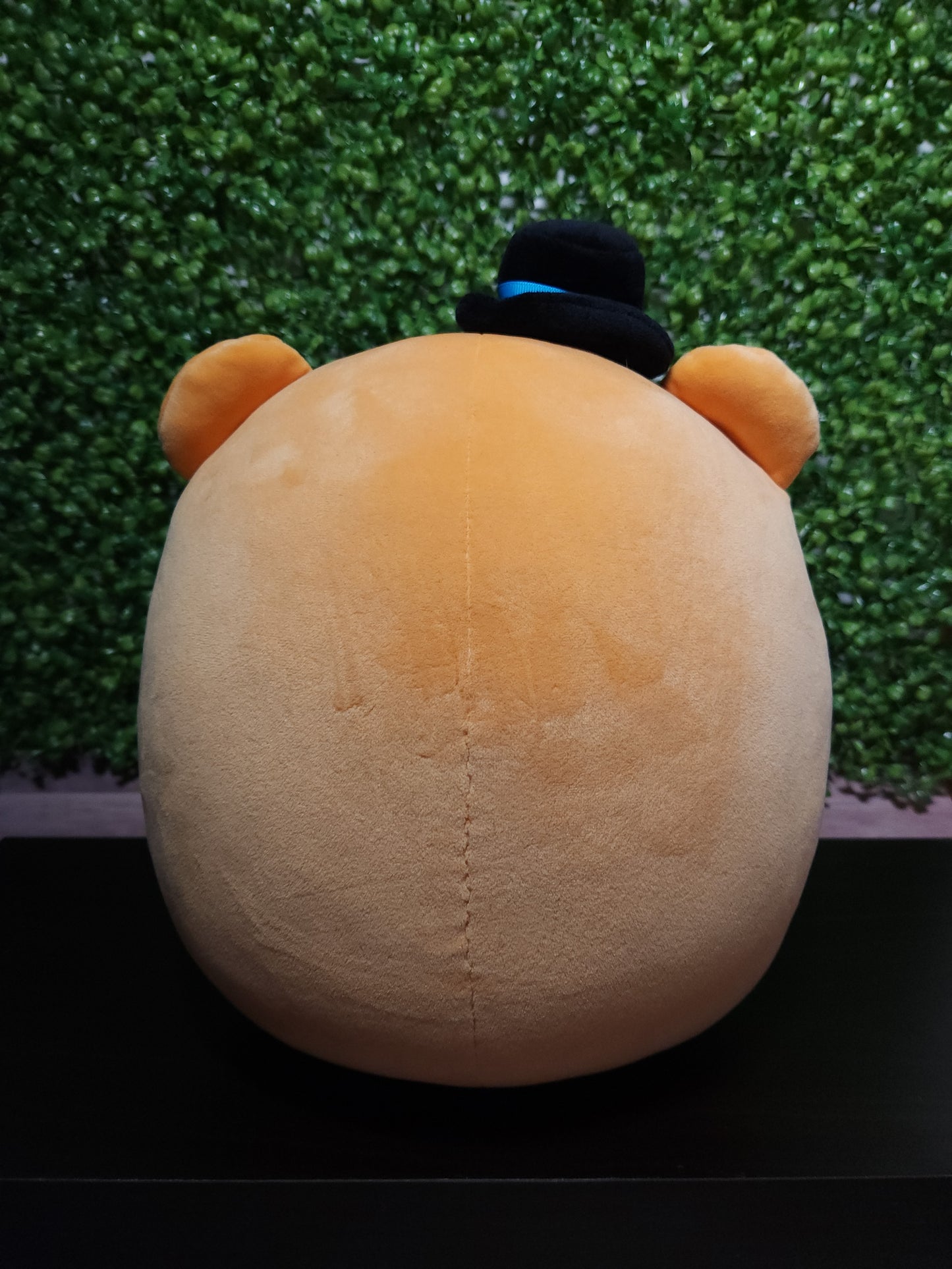 Bear Plushie - Back View